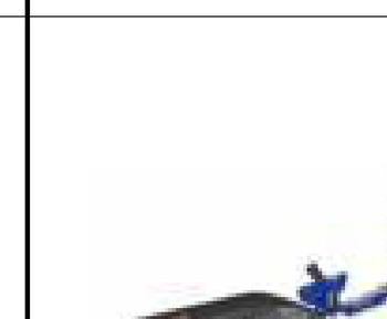 Brush Cutters Model 8246