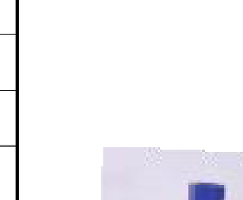 Drill Bits Large Model 100